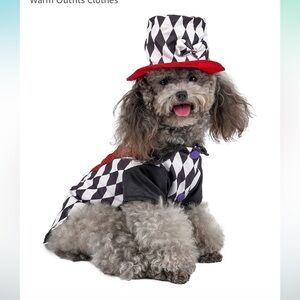 NEW Magician Dog Halloween Costume & Hat - For Small Breed